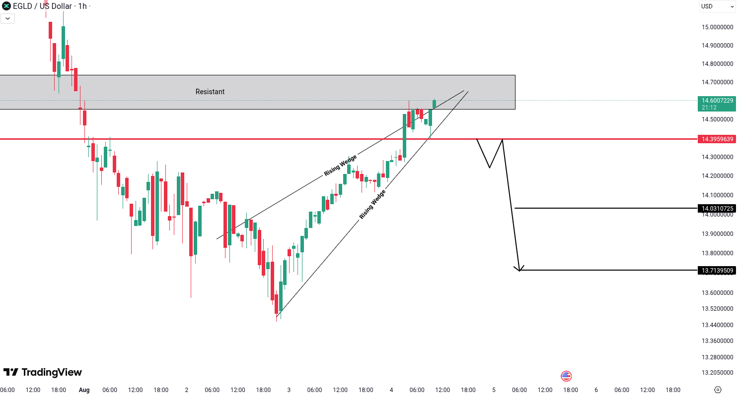 MultiversX (EGLD) Analysis