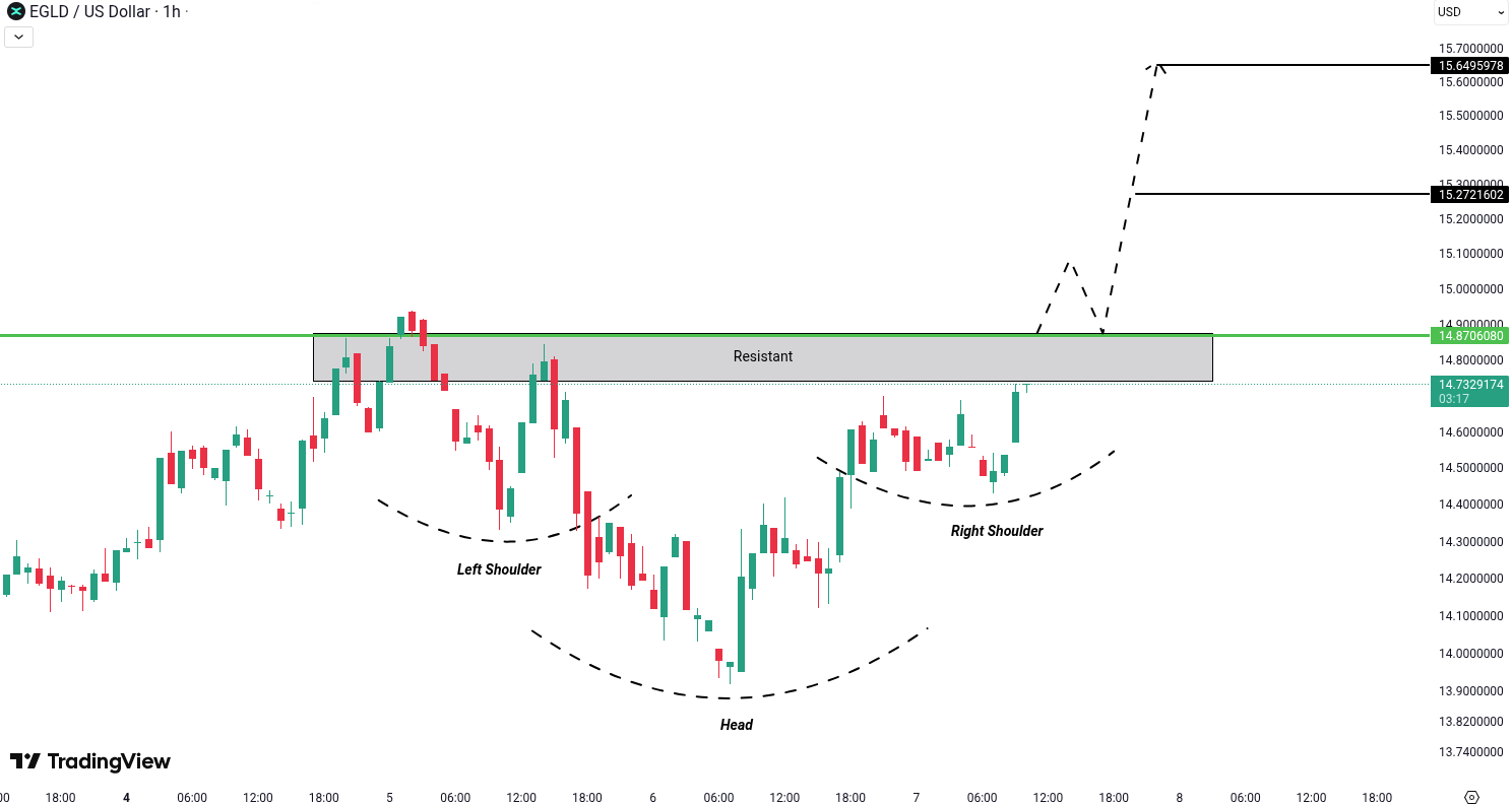 MultiversX (EGLD) Analysis