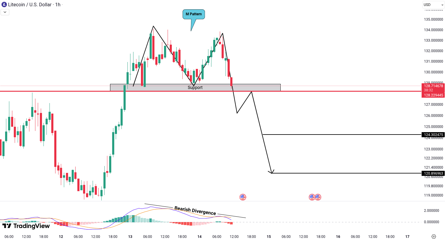 Analiza Litecoin (LTC)