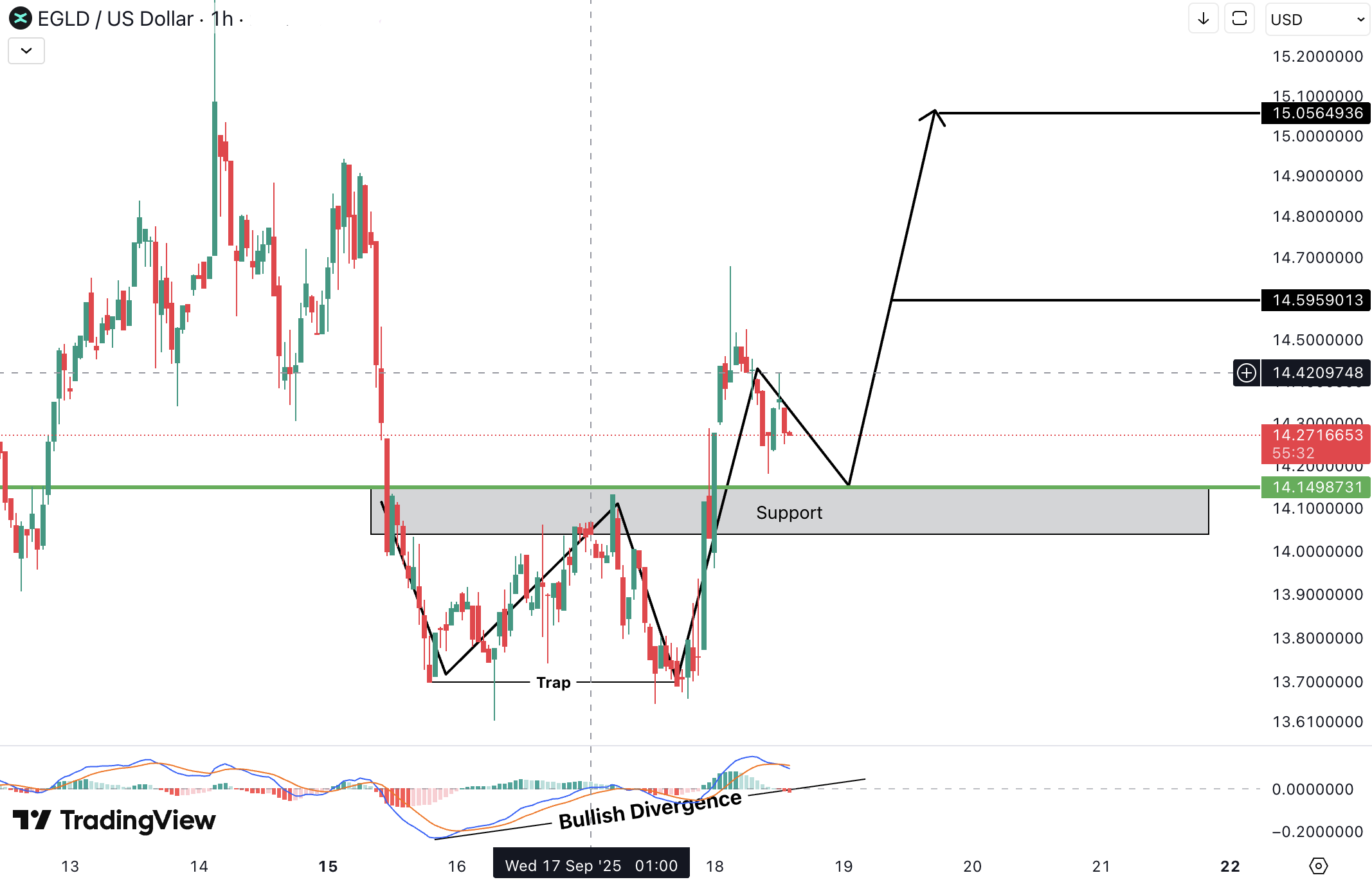 MultiversX (EGLD) Analysis