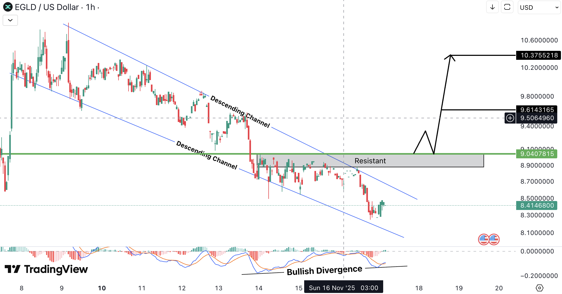 MultiversX (EGLD) Analysis