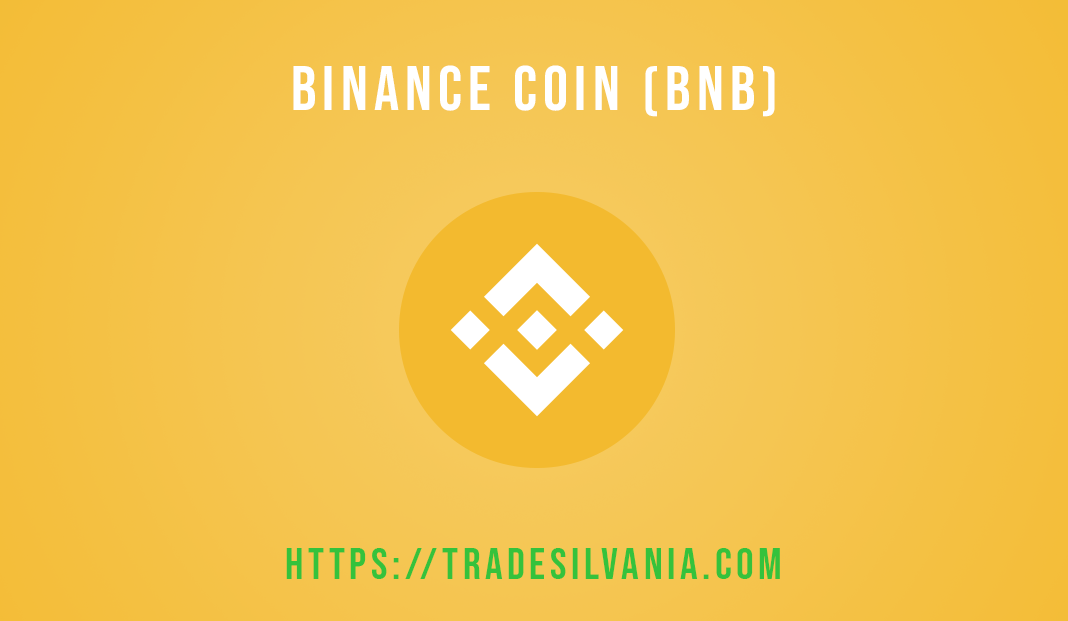 Binance Coin (BNB)