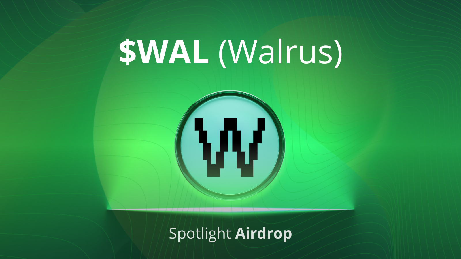 WALRUS Airdrop – Part of Our 7-Year Anniversary Celebration!