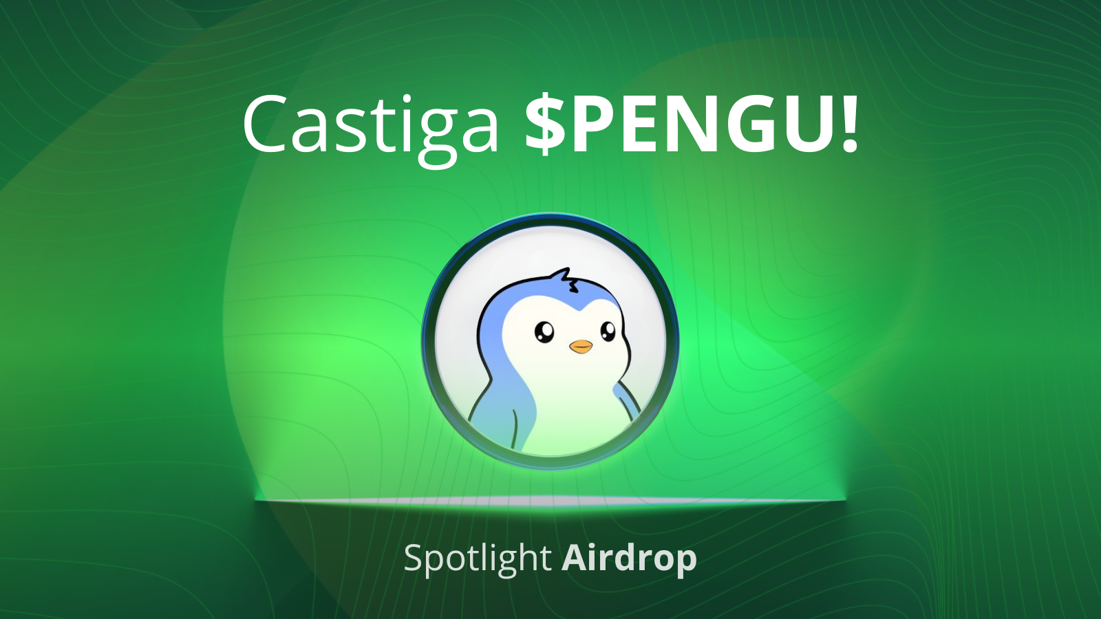 Castiga PENGU pe Tradesilvania Spotlight!