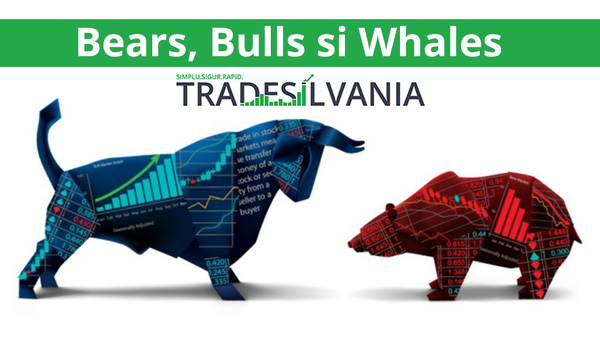 Bears, Bulls si Whales – Termeni importanti in lumea crypto