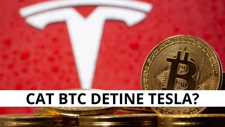 Cati Bitcoin detine Tesla in 2025