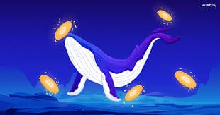 $2 Billion in Bitcoin Moves After 14 Years of Dormancy